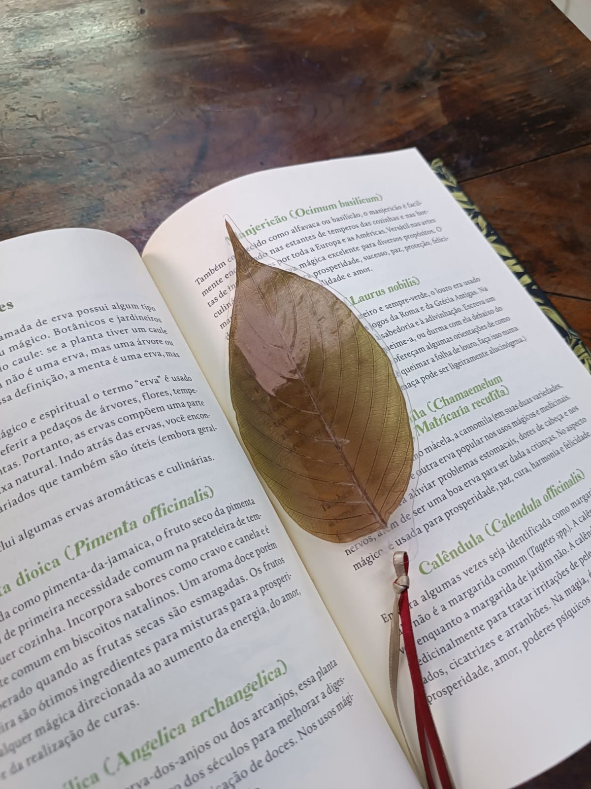 MARCADOR DE LIVRO - FOLHA VERDE G - Imagem 2