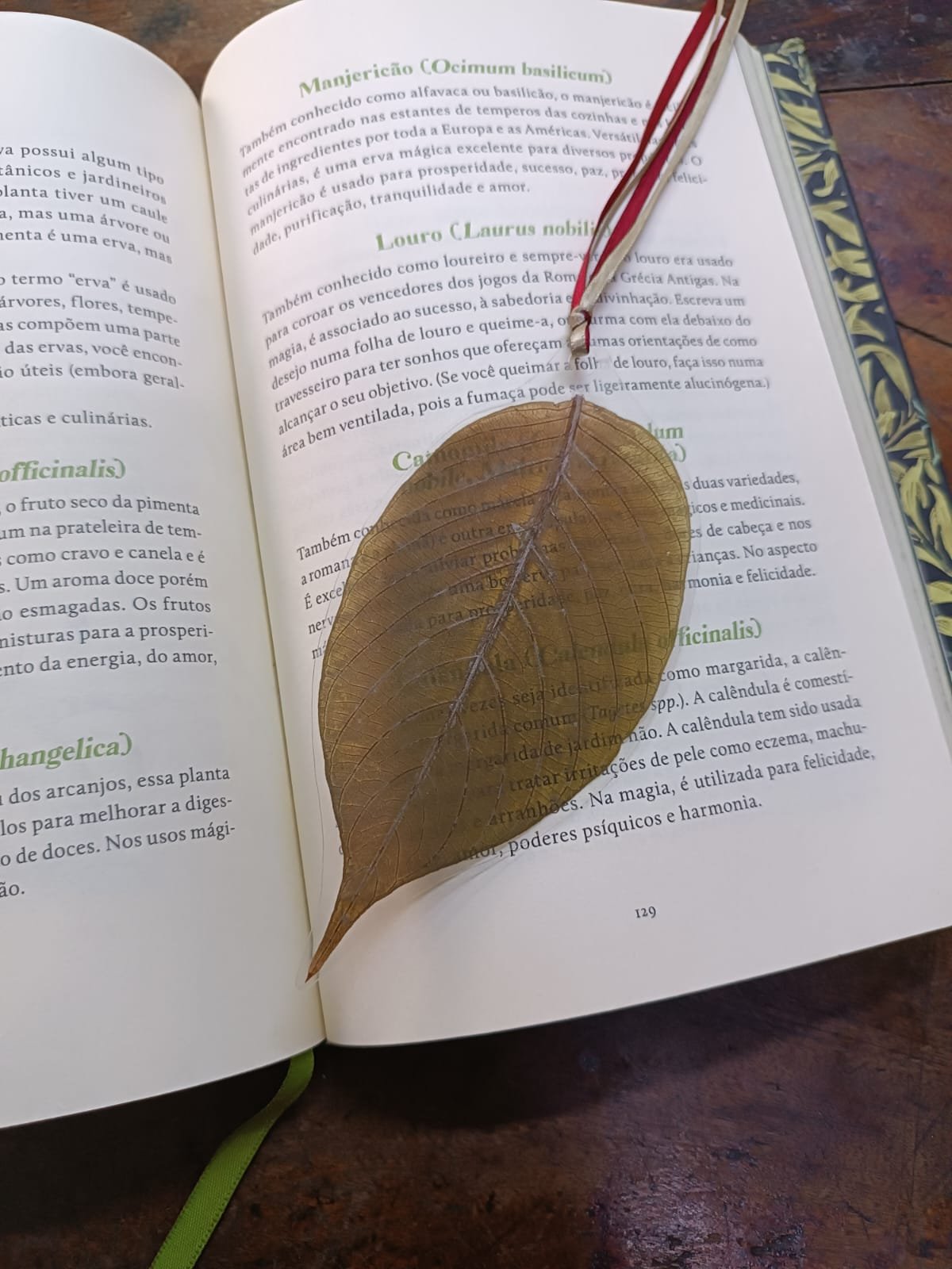 MARCADOR DE LIVRO - FOLHA VERDE G