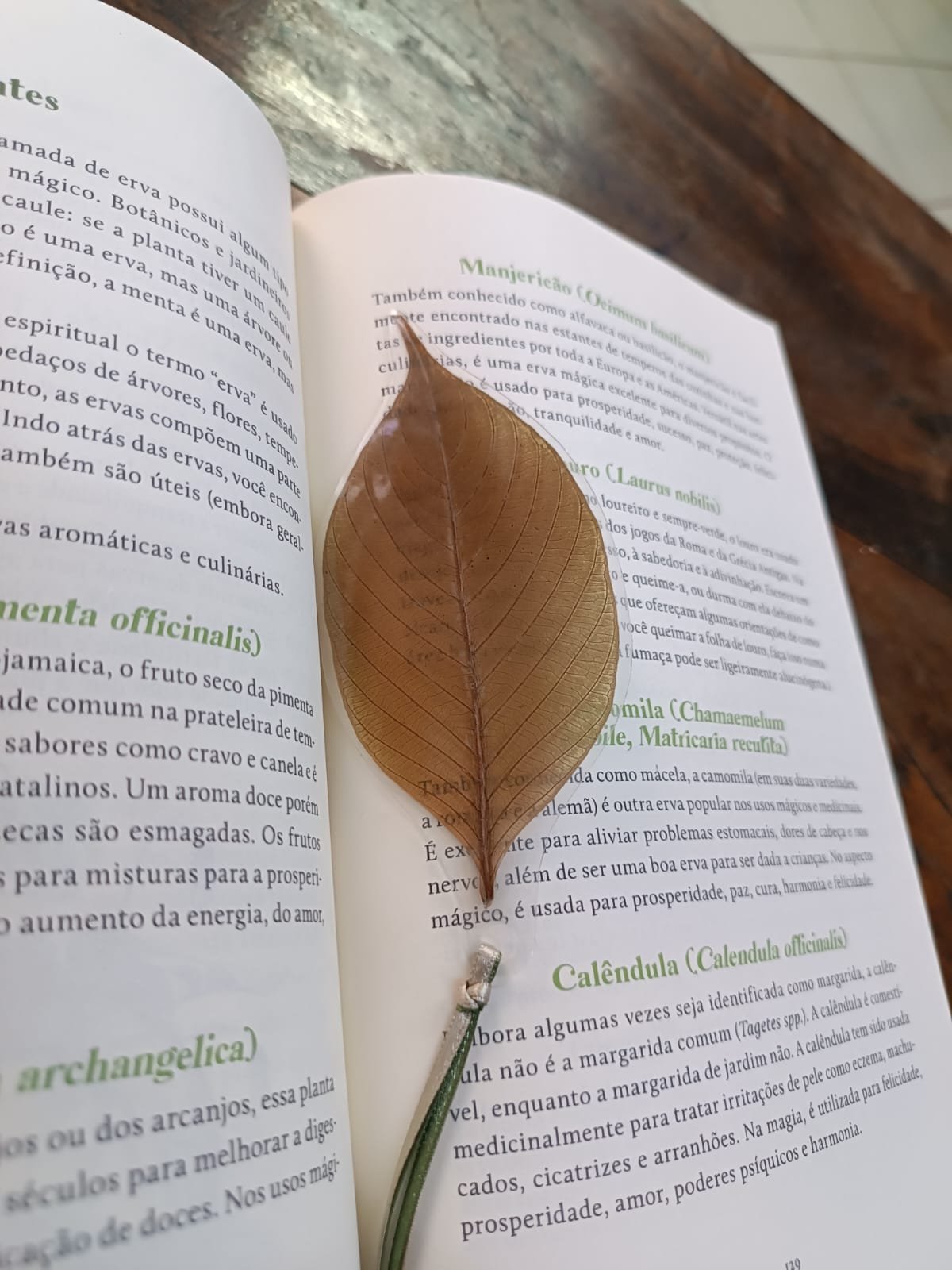 MARCADOR DE LIVRO - FOLHA VERDE