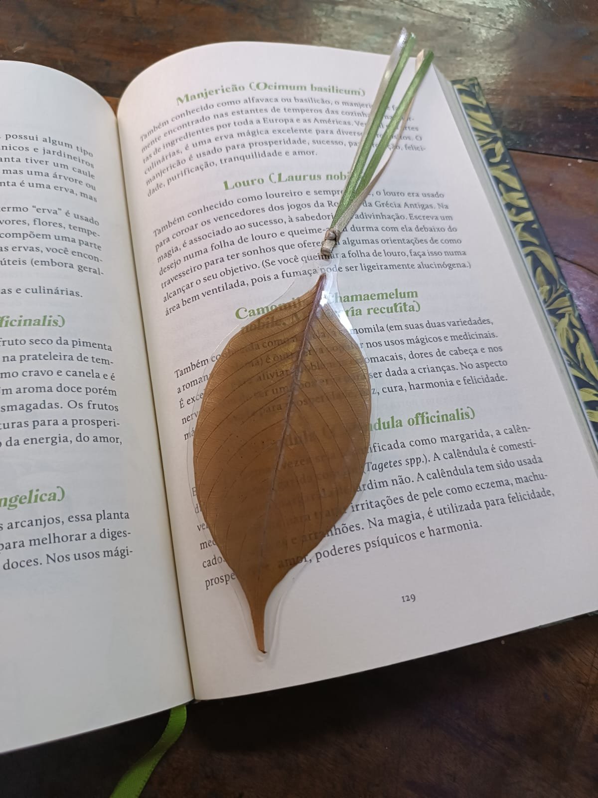 MARCADOR DE LIVRO - FOLHA VERDE - Imagem 2