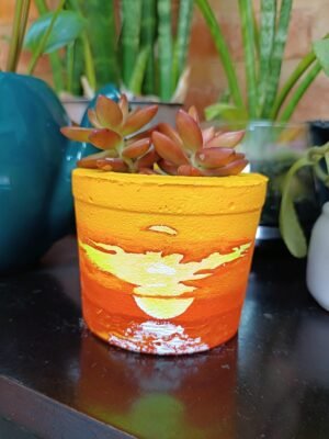 VASO PARA SUCULENTAS - NASCER DO SOL