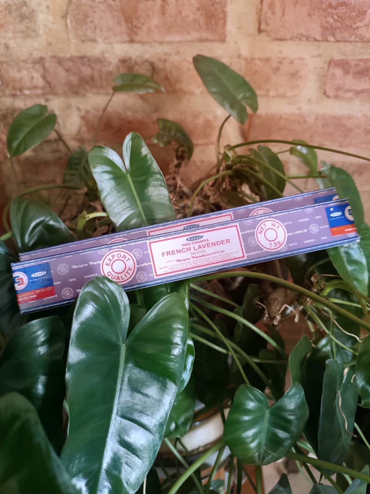 INCENSO SATYA 7,5G - FRENCH LAVENDER - Imagem 2